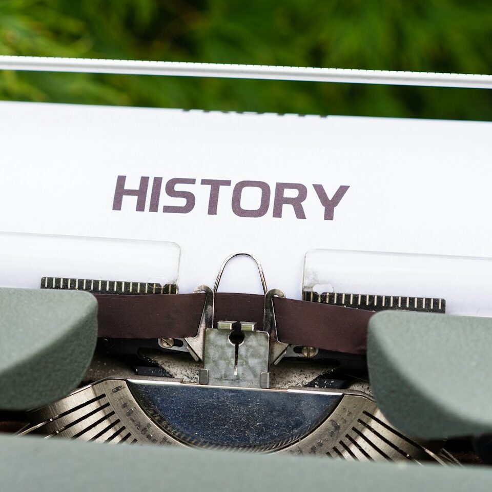 white and black train toy